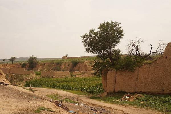 DSC02050
