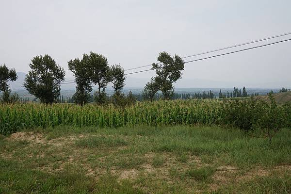 DSC02202