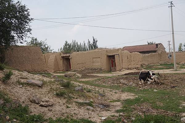 DSC02066