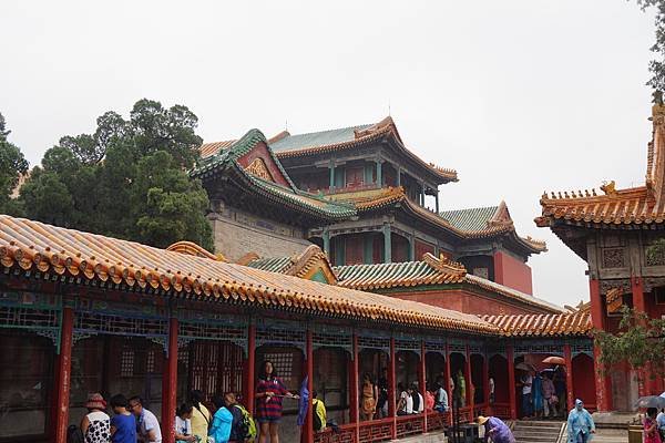 DSC02940
