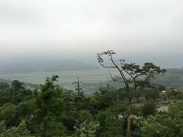 IMG_2511