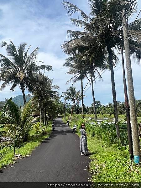 2023開關亞洲巡迴蜜月之旅:峇里篇 day 5 東峇里一日