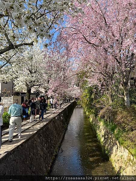 






2023開關亞洲巡迴蜜月之旅: 日本關西京都賞