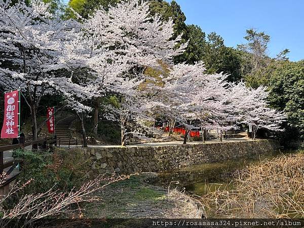 2023開關亞洲巡迴蜜月之旅: 日本關西京都賞櫻篇day 3