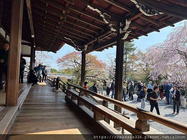 2023開關亞洲巡迴蜜月之旅: 日本關西京都賞櫻篇day 3