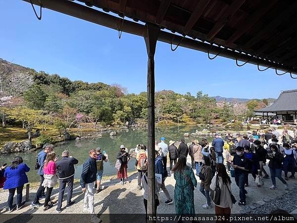 2023開關亞洲巡迴蜜月之旅: 日本關西京都賞櫻篇day 3