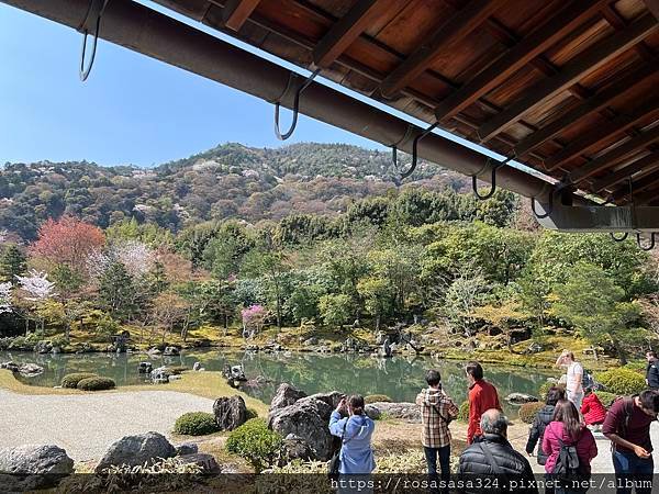 2023開關亞洲巡迴蜜月之旅: 日本關西京都賞櫻篇day 3