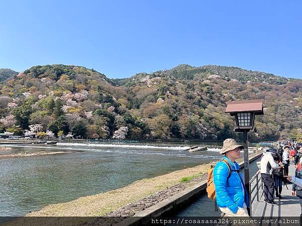 2023開關亞洲巡迴蜜月之旅: 日本關西京都賞櫻篇day 3