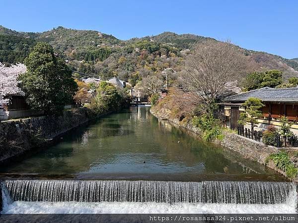 2023開關亞洲巡迴蜜月之旅: 日本關西京都賞櫻篇day 3