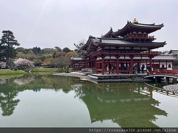 2023開關亞洲巡迴蜜月之旅: 日本關西京都賞櫻篇day 4