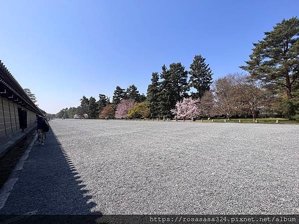 2023開關亞洲巡迴蜜月之旅: 日本關西京都賞櫻篇day 5