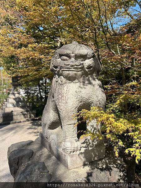 2023開關亞洲巡迴蜜月之旅: 日本關西京都賞櫻篇day 5