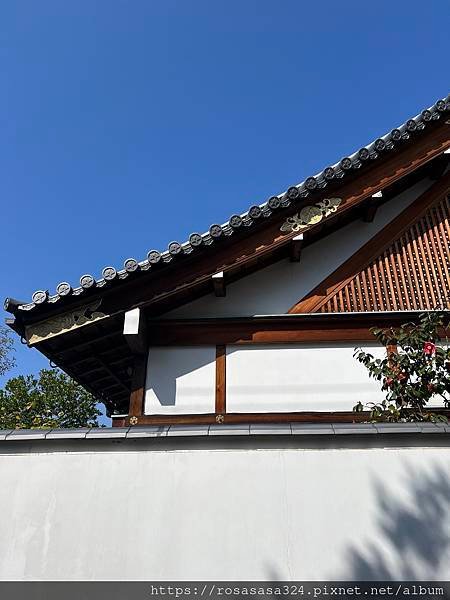 2023開關亞洲巡迴蜜月之旅: 日本關西京都賞櫻篇day 5