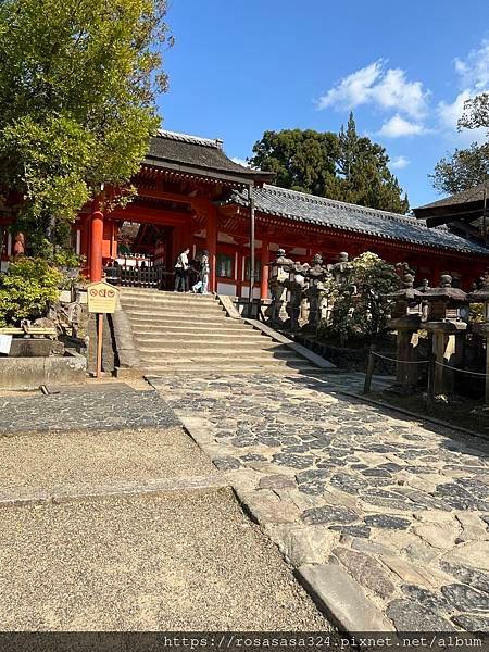 2023開關亞洲巡迴蜜月之旅: 日本關西京都賞櫻篇day 7