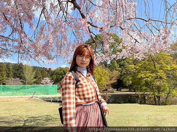 2023開關亞洲巡迴蜜月之旅: 日本關西京都賞櫻篇day 7