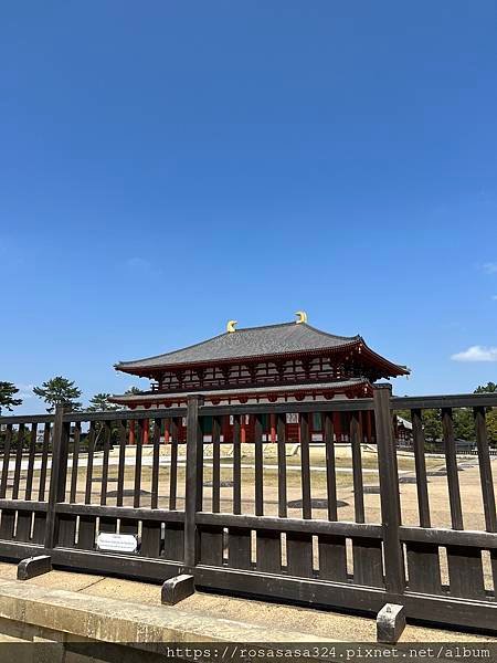 2023開關亞洲巡迴蜜月之旅: 日本關西京都賞櫻篇day 7