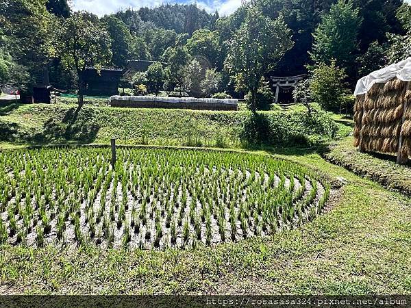 三牛獻瑞聖地巡遊三重至岐阜身心靈淨化之旅day 6 飛驒高山