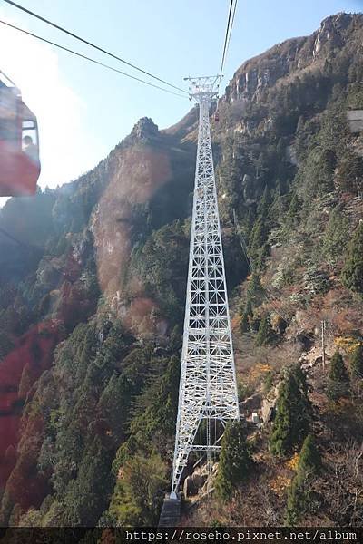 20191116燈會名花之里、御在所岳纜車賞楓_191228_0003.jpg