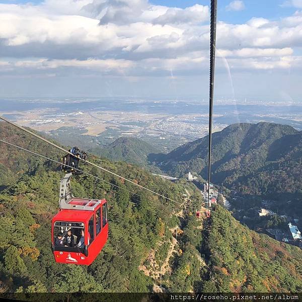 20191116燈會名花之里、御在所岳纜車賞楓_191228_0110.jpg