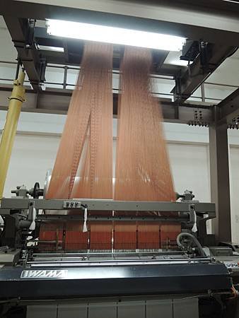 DSCN1469