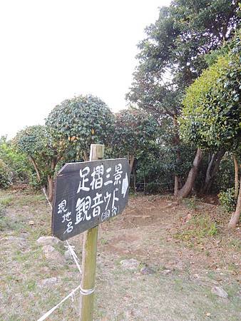 DSCN1783