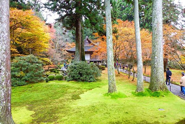 大原三千院2.JPG