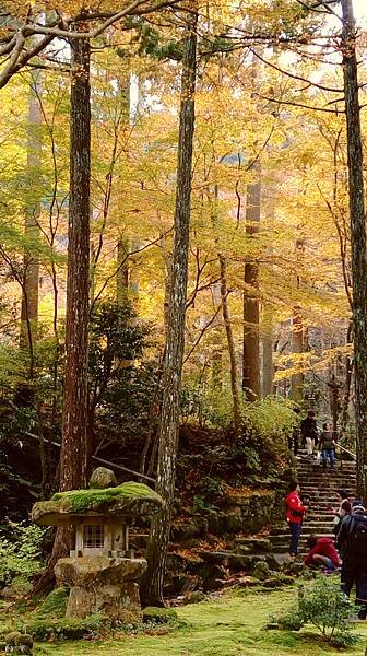 大原三千院4.jpg