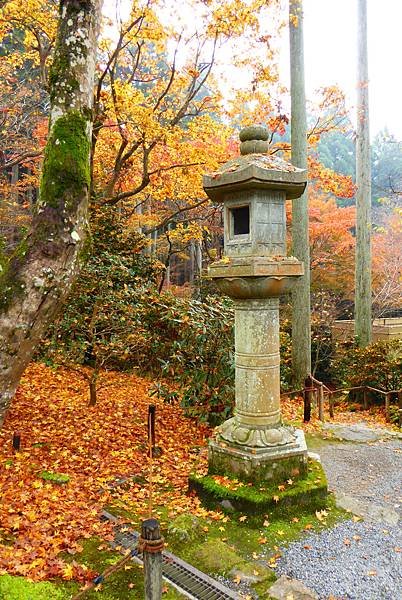 大原三千院6.JPG
