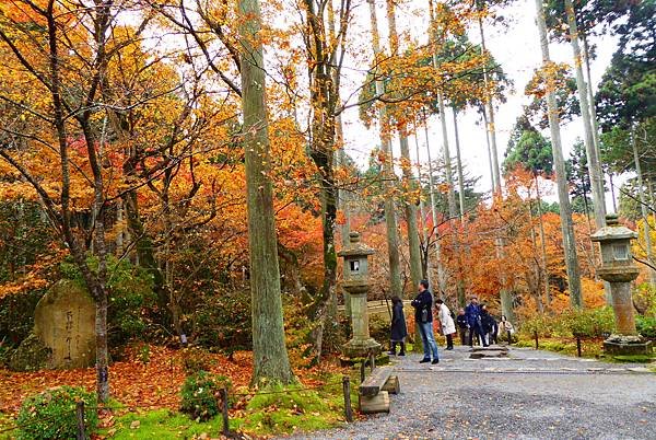 大原三千院7.JPG