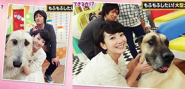 2015/1/14 ジャニ勉（波瑠）