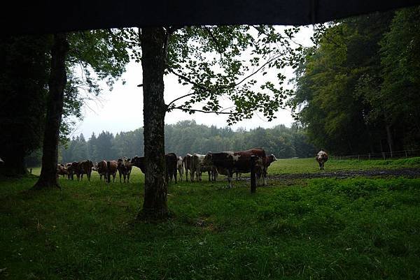 P1070195.JPG