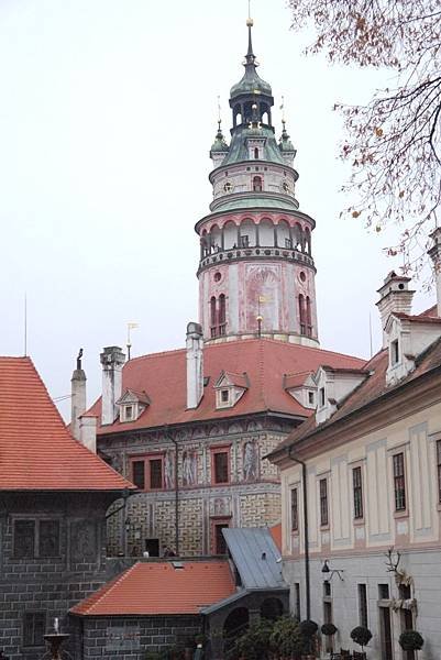 P1080646.JPG