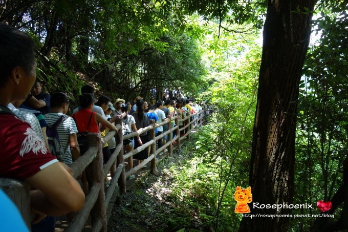 0707-張家界-袁家界、天子閣、賀龍公園 (42).JPG