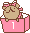 BoxBear-1.gif