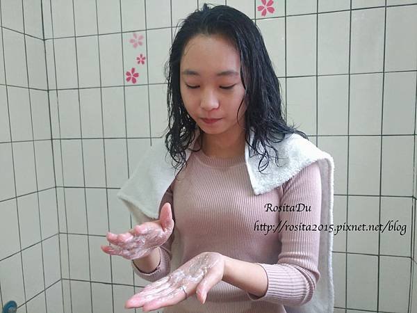 茶樹_7752.jpg