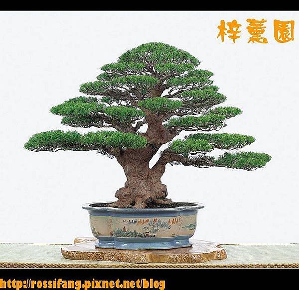 木麻-03.jpg