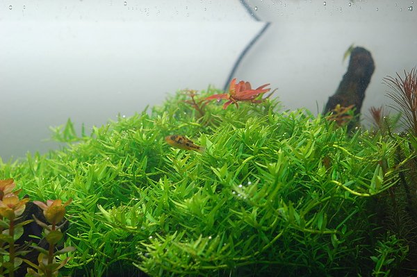 DSC_4911.JPG