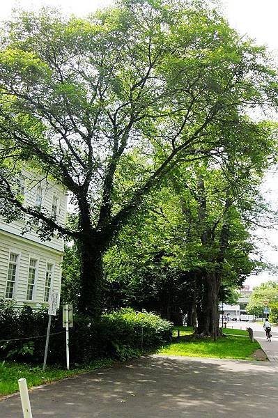 DSCF5040.jpg