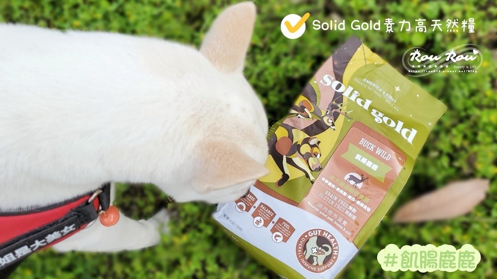 Solid Gold 素力高天然犬糧.jpg