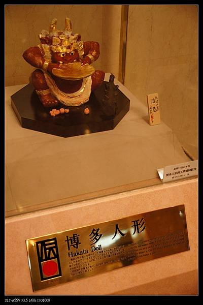 DSC03608.jpg