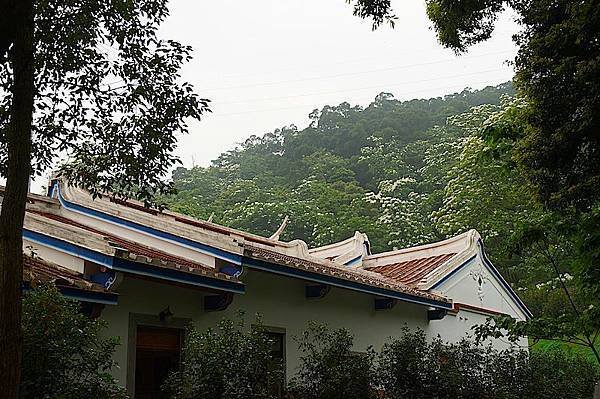 DSC02017