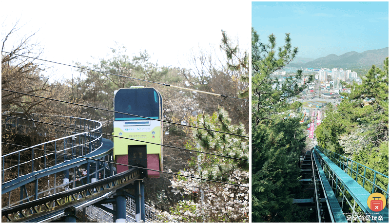 釜山景點｜鎮海余佐川櫻花道！帝王山公園、馬鈴薯豬骨湯！鎮海包