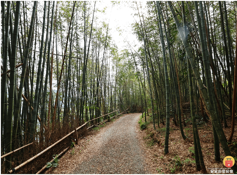 高雄景點｜2025桃源櫻花季！藤枝寶山二集團櫻花公園！賞櫻原