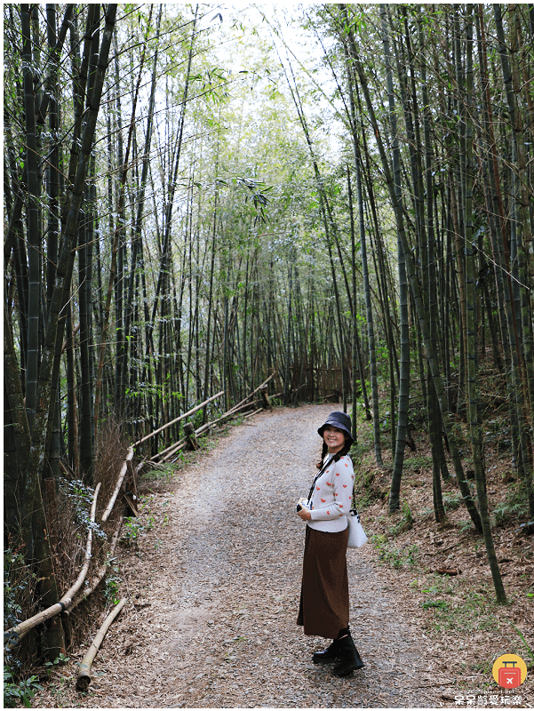 高雄景點｜2025桃源櫻花季！藤枝寶山二集團櫻花公園！賞櫻原