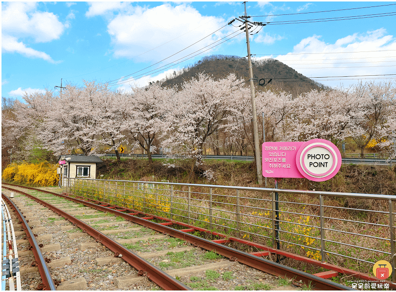 首爾近郊景點｜加平鐵道自行車Rail Park가평레일파크！
