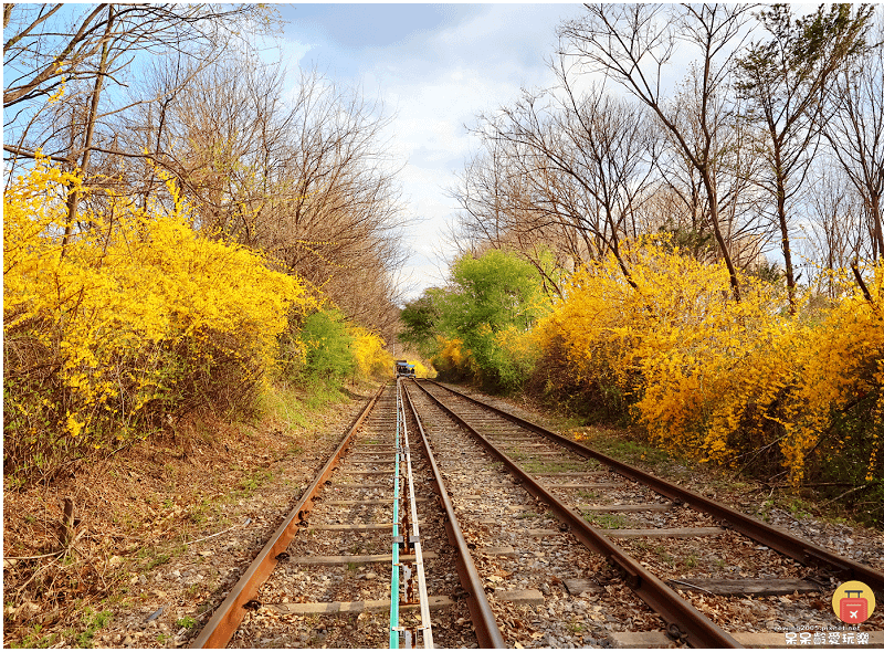 首爾近郊景點｜加平鐵道自行車Rail Park가평레일파크！