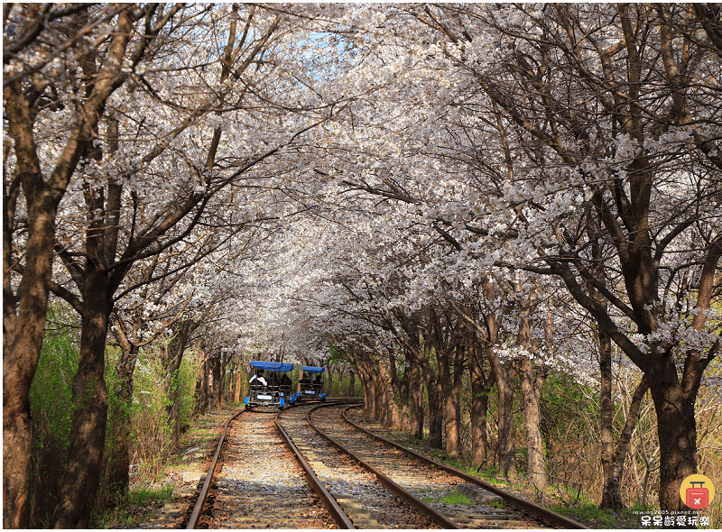 首爾近郊景點｜加平鐵道自行車Rail Park가평레일파크！