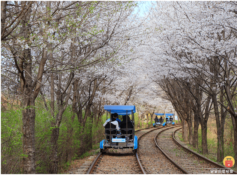 首爾近郊景點｜加平鐵道自行車Rail Park가평레일파크！