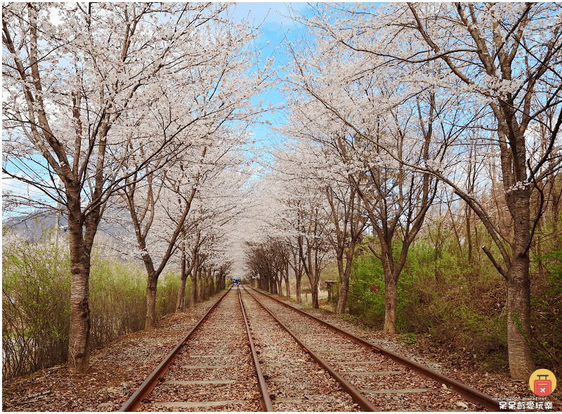 首爾近郊景點｜加平鐵道自行車Rail Park가평레일파크！