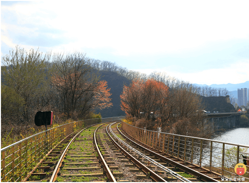 首爾近郊景點｜加平鐵道自行車Rail Park가평레일파크！